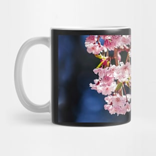 Cherry blossoms with blue bokeh Mug